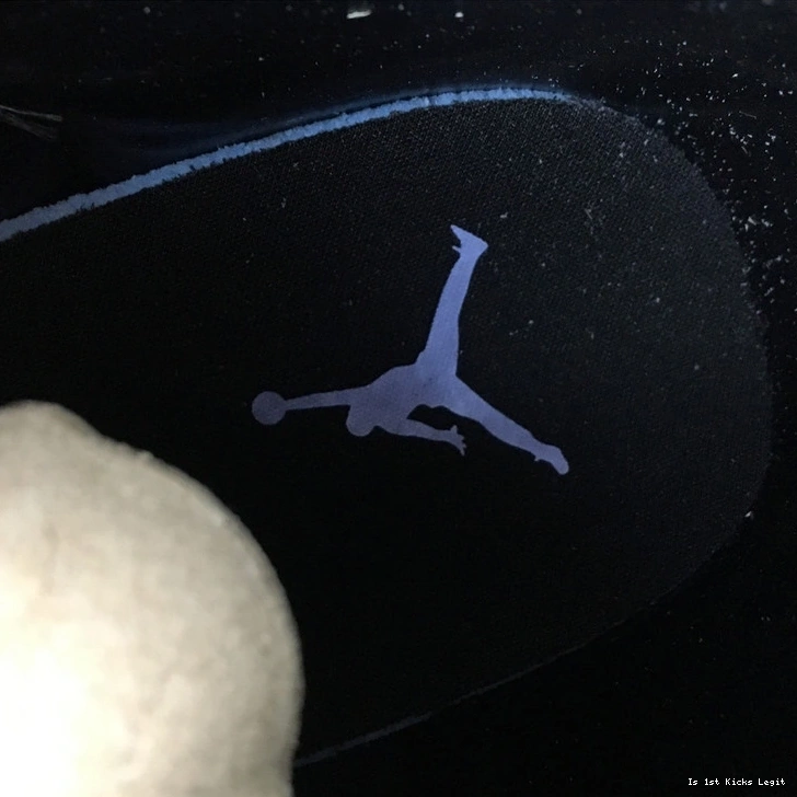 Air  Jordan  Wings AO6068-007 WMNS 12 0407